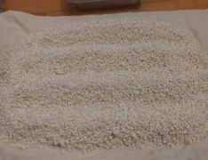 15995267 1097278790380971 o